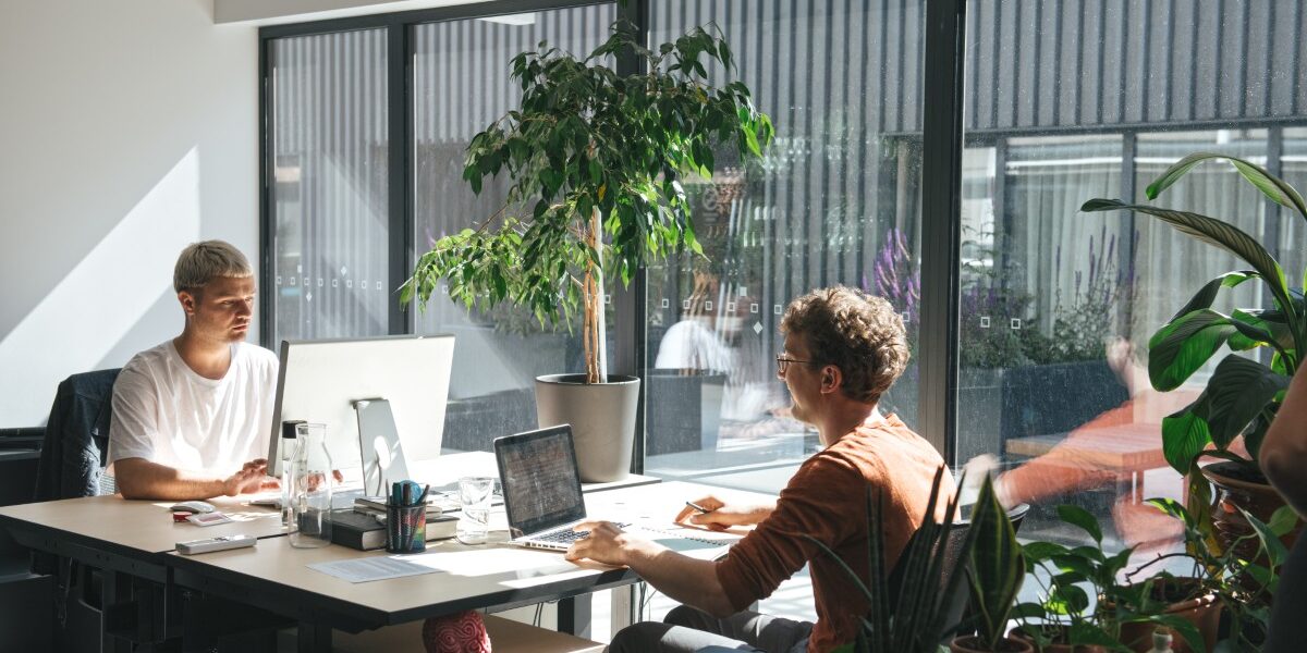 people-working-in-sunny-modern-office-2026-01-09-09-08-49-utc people-working-in-sunny-modern-office-2026-01-09-09-08-49-utc